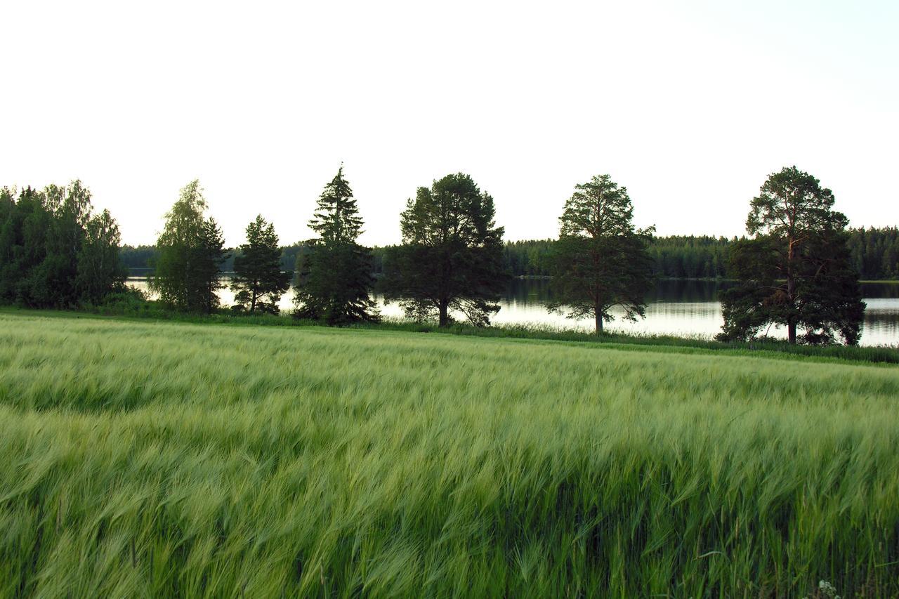 ÄhtäriHankaniemen Tila别墅 外观 照片